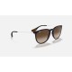 ERIKA CLASSICLenses: Brown Gradient  +  Frame: Blue