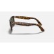 WAYFARER EASE
Lenses: Green Classic  +  Frame: Tortoise