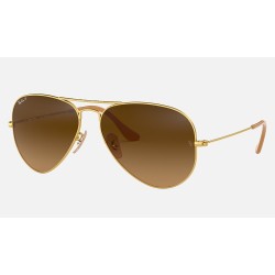 AVIATOR GRADIENT
Lenses: Polarized Brown Gradient  +  Frame: Gold