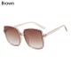 Leopard Brown Sun Glasses Large Sunglasses For Men